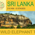 11060865_678259212303280_3993122651727113039_n