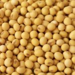 soybean-royalty-free-image-1591121334