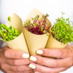 woman-holding-sprouts-of-sunflower-beet-and-radish-royalty-free-image-1635200081