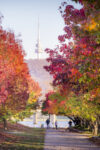 Lake Burley Griffin – Autumn